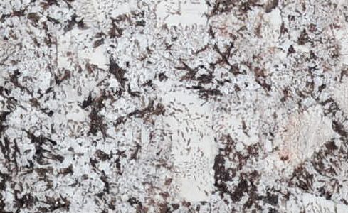 Bianco Antico Premium