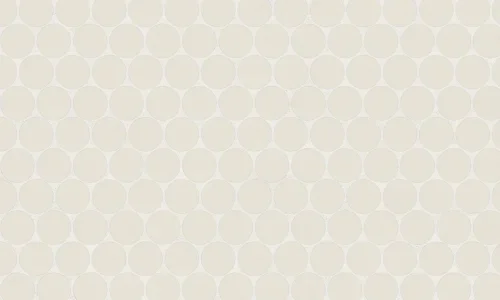 Penny Rounf Sand Dollar